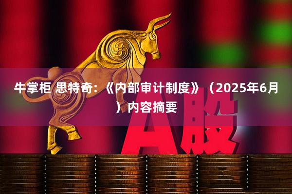牛掌柜 思特奇: 《内部审计制度》（2025年6月）内容摘要