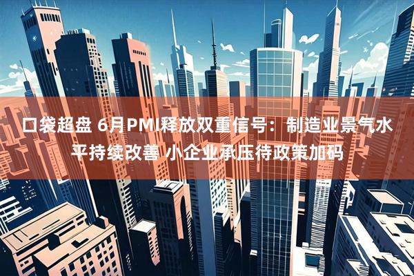 口袋超盘 6月PMI释放双重信号：制造业景气水平持续改善 小企业承压待政策加码