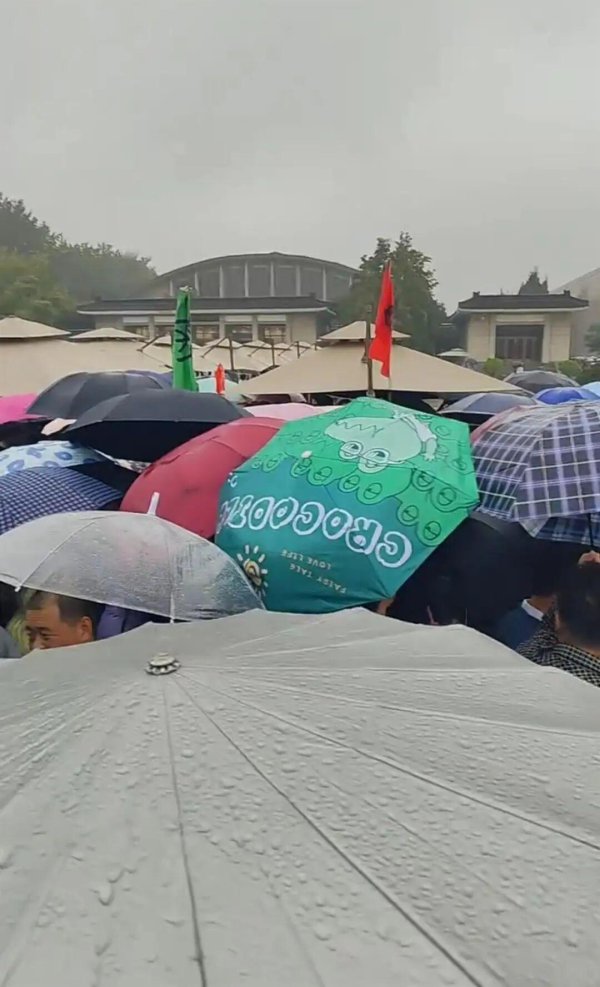 诚金资产 “雨伞挤雨伞”，“导游被挤丢”……景区紧急提醒