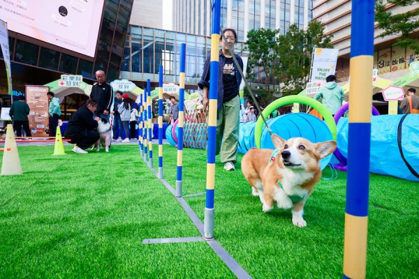 银易配资网 萌宠相伴，银龄焕彩，上海全民健身打造“全龄友好”场景